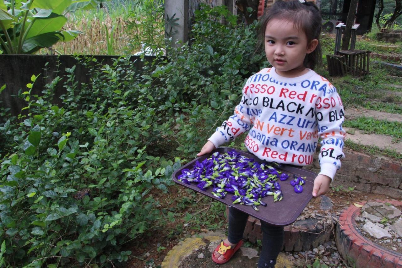 Maison Teahouse Homestay Ha Giang Exteriör bild