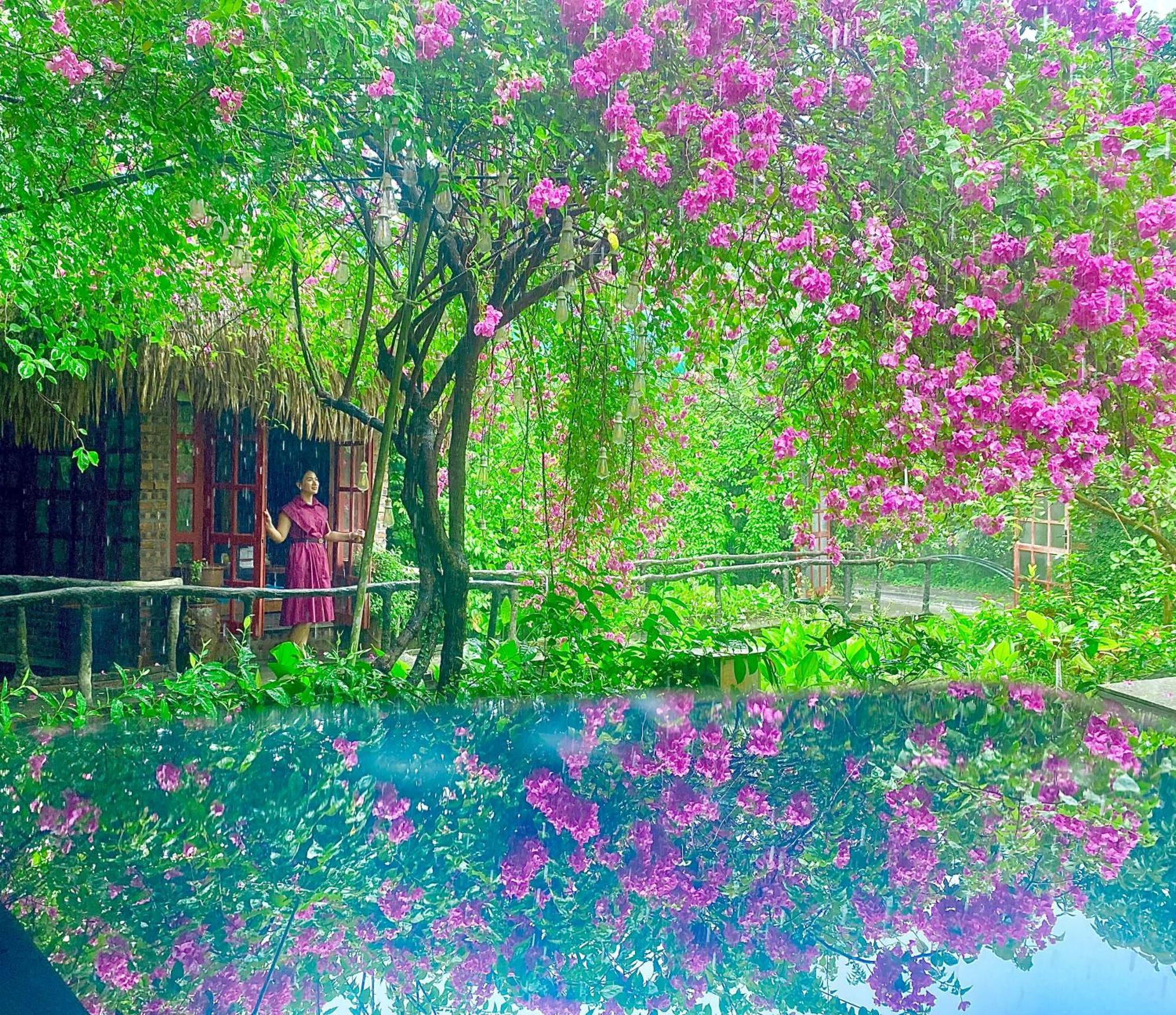 Maison Teahouse Homestay Ha Giang Exteriör bild